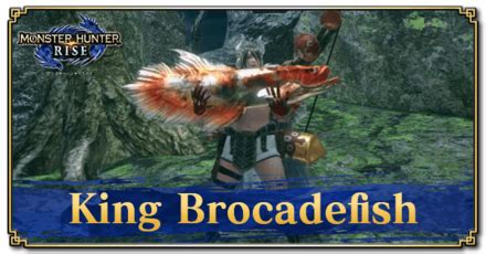 King Brocadefish .
